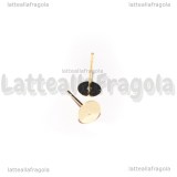 Coppia di Perni a base piatta 6mm Acciaio Inox Dorato con gommini
