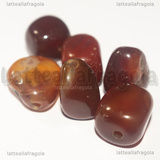 5 Pietre Irregolari in Agata Rossa foro passante 12-16x8mm