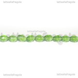 Perle a Botte mezzocristallo sfaccettato Verde 6x4mm filo 40cm
