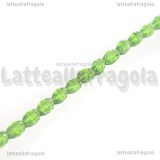 Perle a Botte mezzocristallo sfaccettato Verde 6x4mm filo 40cm