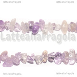Filo Chips Ametista naturale 5x2mm 80cm 