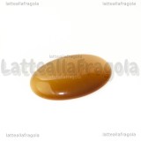 Cabochon in Occhi di Gatto Miele 25x18mm