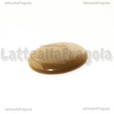 Cabochon in Occhi di Gatto Nocciola 25x18mm