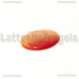 Cabochon in Occhi di Gatto Arancio 25x18mm