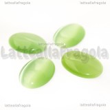 Cabochon in Occhi di Gatto Verde Chiaro 25x18mm