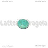 5 Perle a Gettone in Pasta di Turchese Azzurro 14mm