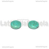 5 Perle a Gettone in Pasta di Turchese Azzurro 14mm