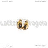Coppia Coprinodo in Acciaio Dorato 6x4mm