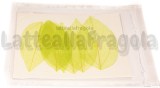 6 Foglie Disidratate Verdi misure 7x4.5cm -5x2.5cm