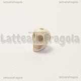 5 Teschi 3D con foro passante in Pasta di Turchese avorio 8x6x7mm