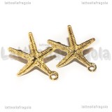 Coppia Perni Stella Marina in metallo Gold Plated 24x21.5mm
